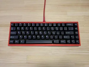 Bakeneko 65