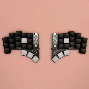 DASBOB